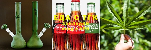 гашик Михайлов