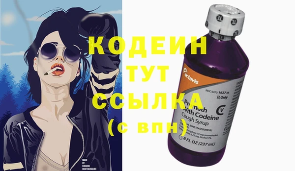 гашик Михайлов
