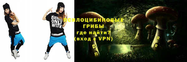 гашик Михайлов