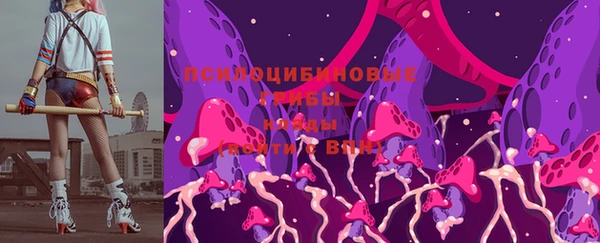 гашик Михайлов