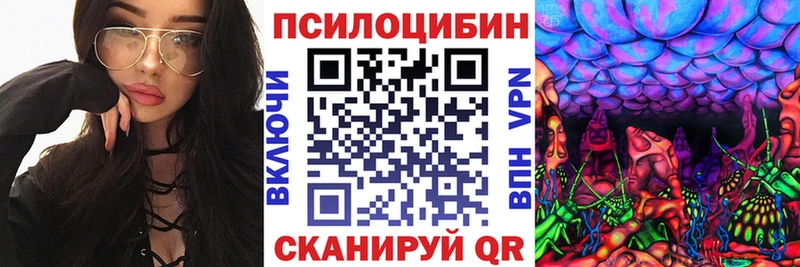 Псилоцибиновые грибы ЛСД  кракен ССЫЛКА  Туапсе 